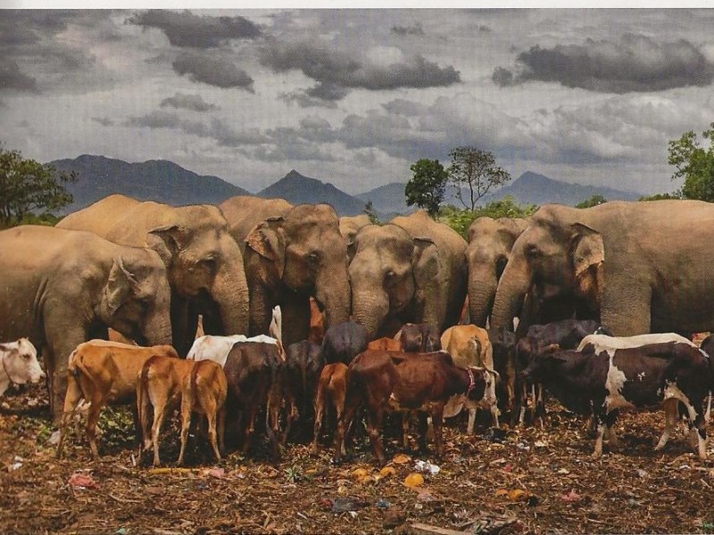 VISA pour l’image 2023